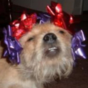 cuntpunt-blog avatar