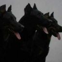 cupcakeexplosion avatar