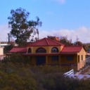 cupcakes-and-food avatar