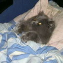 cupcakesandvillainy avatar