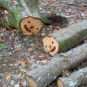 cupids-fiction avatar