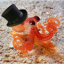 cupofcuriositea avatar