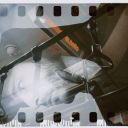 curadodeespanto2 avatar