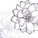 curio-queries avatar