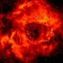 curiocollector avatar