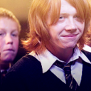 curiosidades-hp-blog avatar