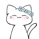 curiosity-cat avatar