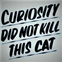 curiosity-loves-the-kitten avatar