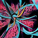 curiositykilledthecookie avatar