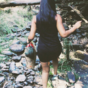 curiosityprevailed avatar