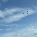 curiostratus-blog avatar