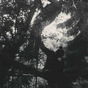 curiounbitches avatar