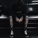 curious-and-ugly-cat avatar