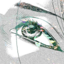 curious-hermit avatar