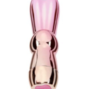 curious-little-bunny avatar