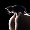 curious3045-blog avatar