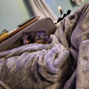 curiousadventure13 avatar