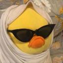 curiousangrycat avatar