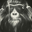 curiousgarcia avatar