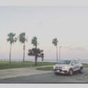 curiousgoldfish avatar