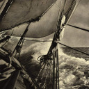 curioushumanist avatar