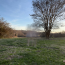 curiouslilfairy avatar