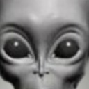 curiouslyprogrammed avatar