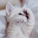 curiousodelicious avatar