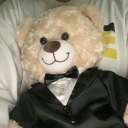 curiousredwood avatar