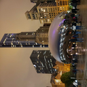 curiouswolf12 avatar