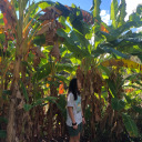 curlyer-than-u avatar