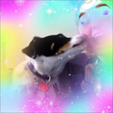 curlygingerpants avatar