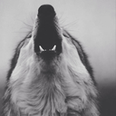 current-and-tension avatar