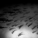 current-counter-current avatar