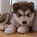 current1ystudying avatar