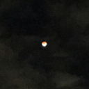 currently-in-tears avatar