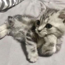 currentlybaking avatar