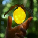 currentlycreating avatar