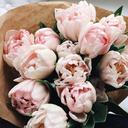 currentlyintothis avatar