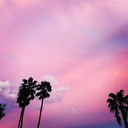 currentlyvibing avatar