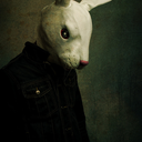 currite-ad-montes avatar