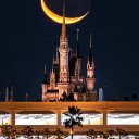 curryrice5921 avatar