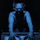 cursecuelebre avatar