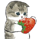 cursed-carmine avatar