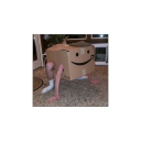 cursed-fish-images avatar