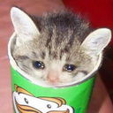 cursed-ginger-blog avatar