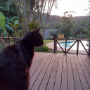 cursed-mars-bars avatar