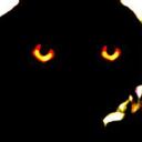 cursed-photography avatar