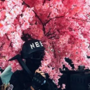 cursedbluefish avatar