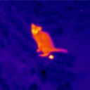 cursedmothowo avatar